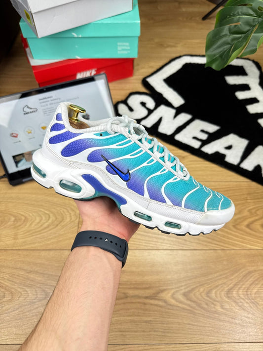 Nike Air Max Plus (41) - sneakilystore