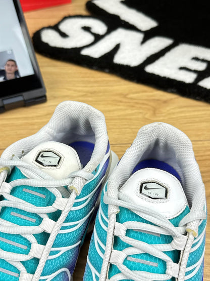 Nike Air Max Plus (41) - sneakilystore