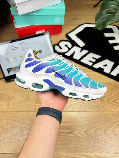 Nike Air Max Plus (41) - sneakilystore