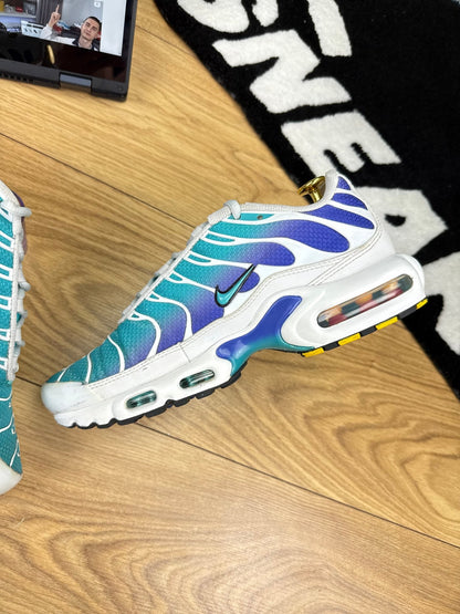 Nike Air Max Plus (41) - sneakilystore