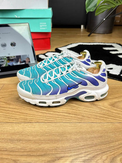 Nike Air Max Plus (41) - sneakilystore
