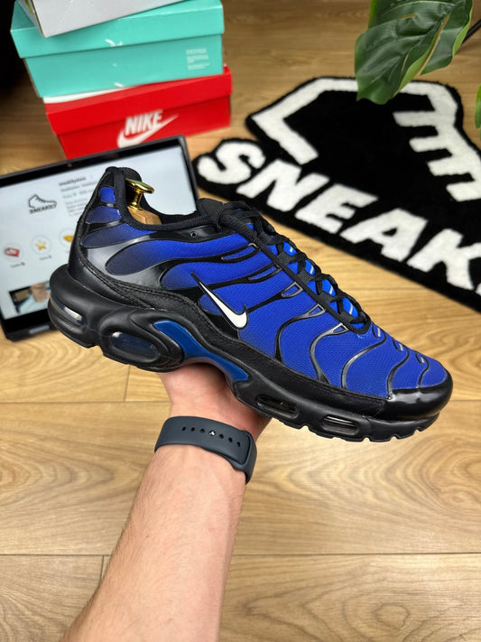 Nike Air Max Plus (45.5) - sneakilystore