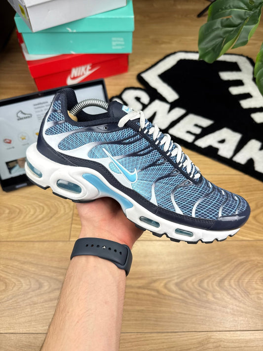 Nike Air Max Plus (42.5)