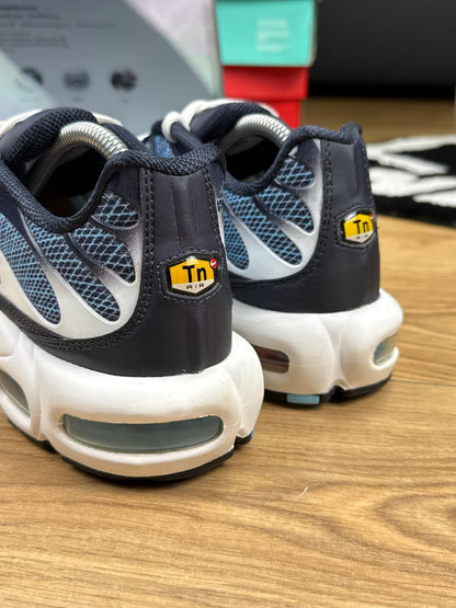 Nike Air Max Plus (42.5)