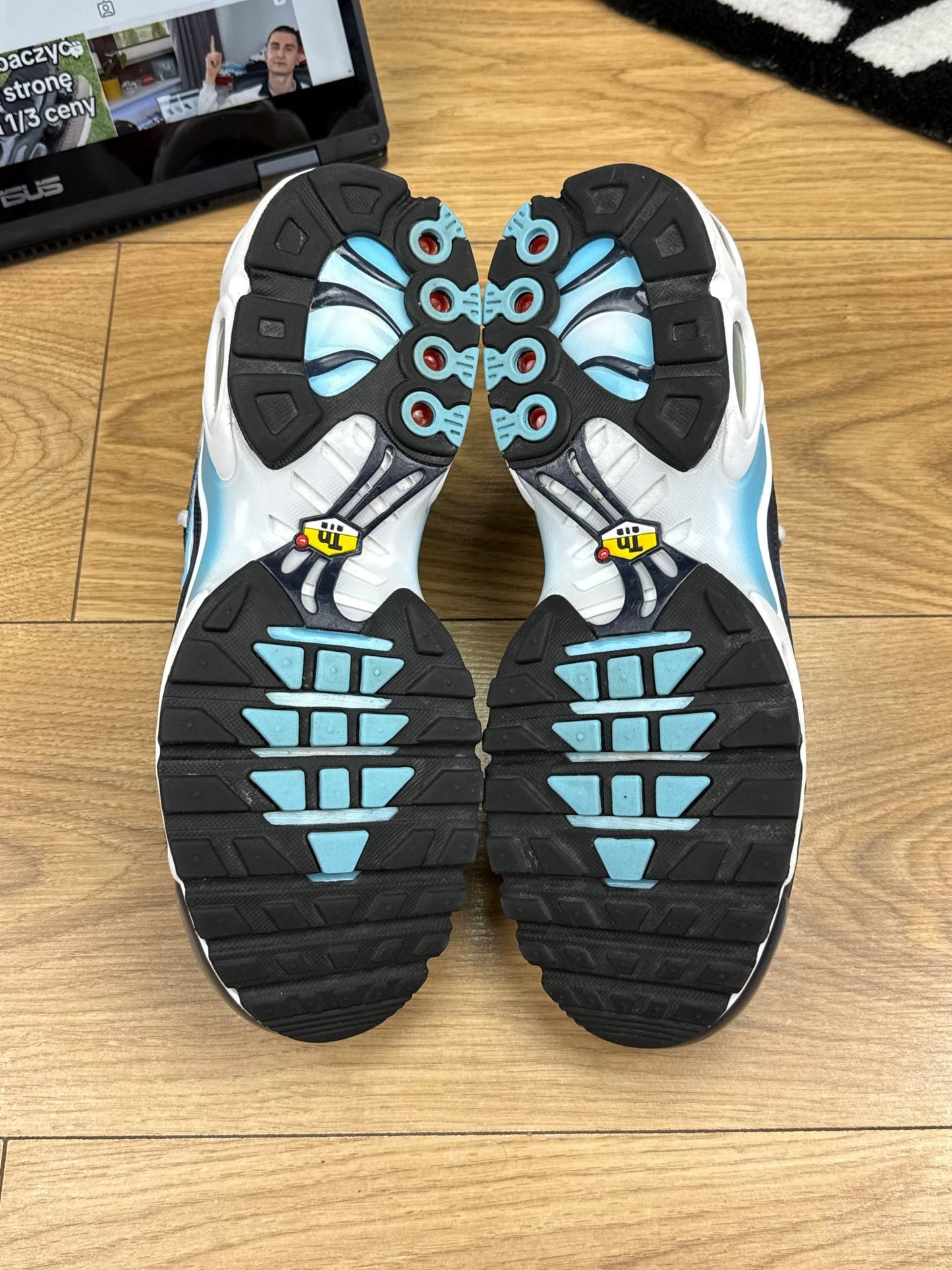 Nike Air Max Plus (42.5)