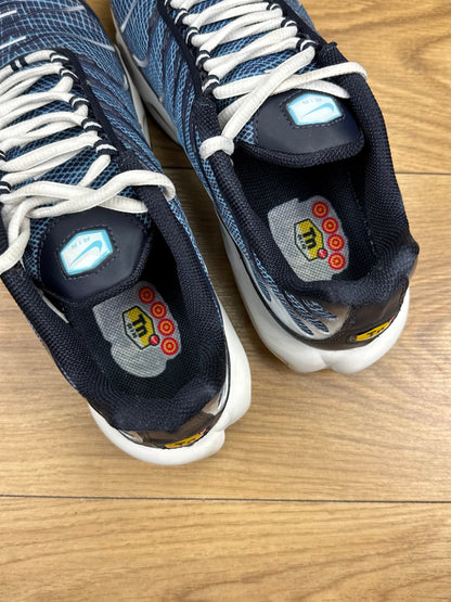 Nike Air Max Plus (42.5)