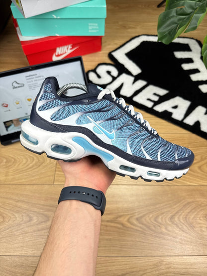 Nike Air Max Plus (42.5)