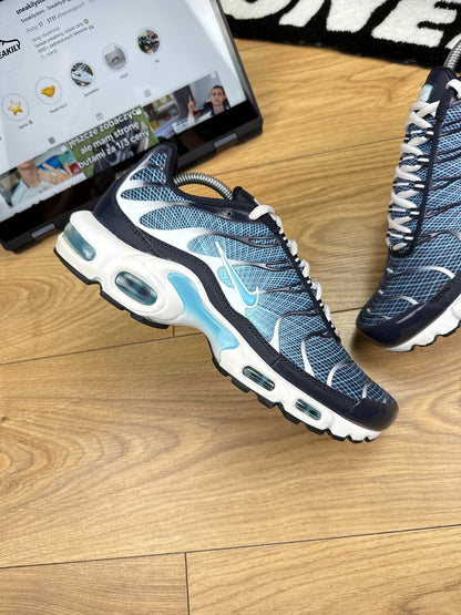 Nike Air Max Plus (42.5)