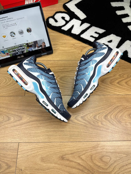 Nike Air Max Plus (42.5)