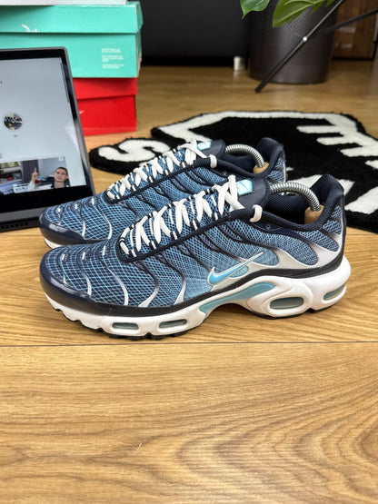 Nike Air Max Plus (42.5)