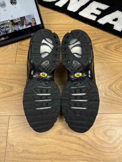 Nike Air Max Plus (44.5)