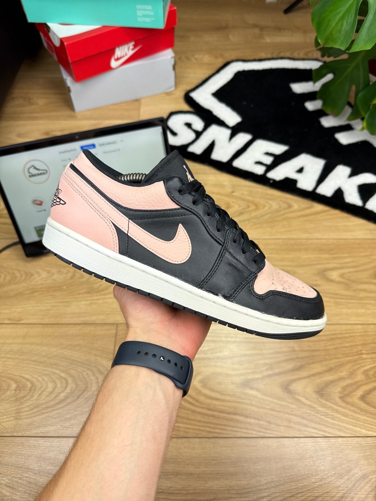 Nike Air Jordan 1 Low (44)