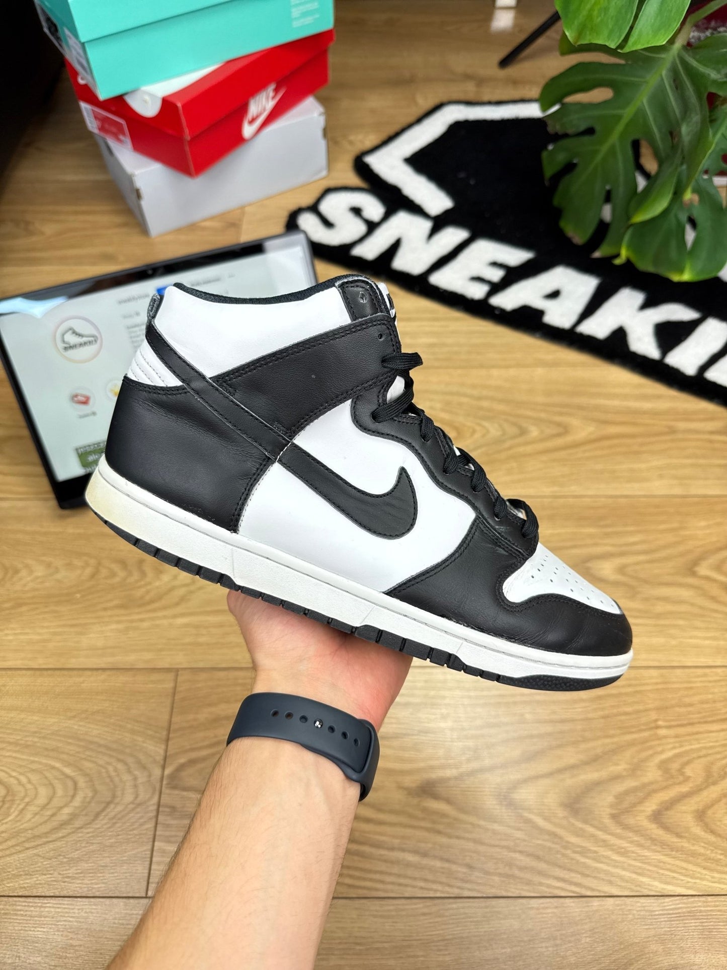 Nike Dunk High (45)
