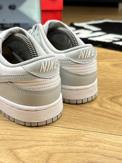 Nike Dunk Low (43)