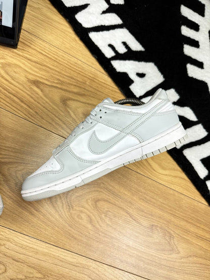 Nike Dunk Low (43)
