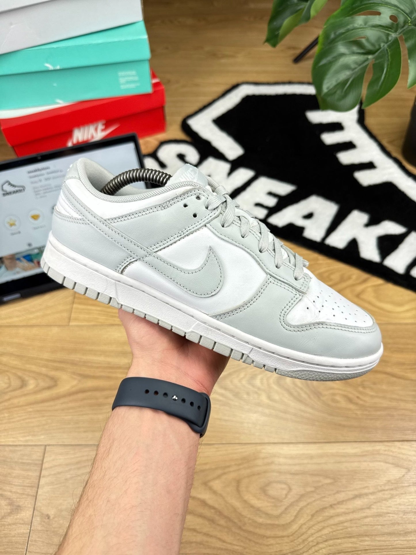 Nike Dunk Low (43)