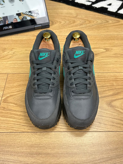Nike Air Max 90 (41)