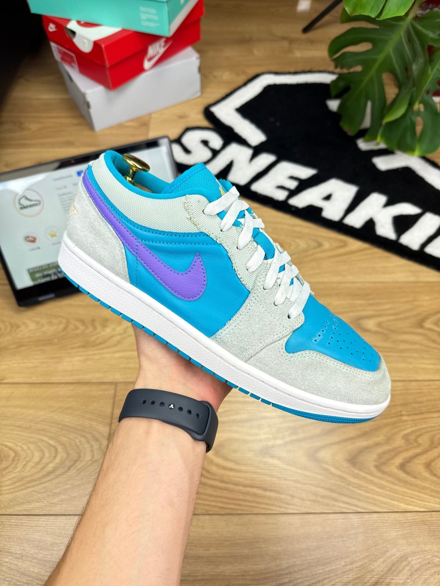 Nike Air Jordan 1 Low (43)