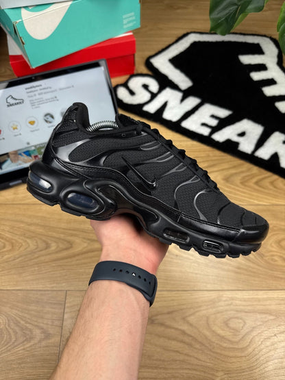 Nike Air Max Plus (44.5)