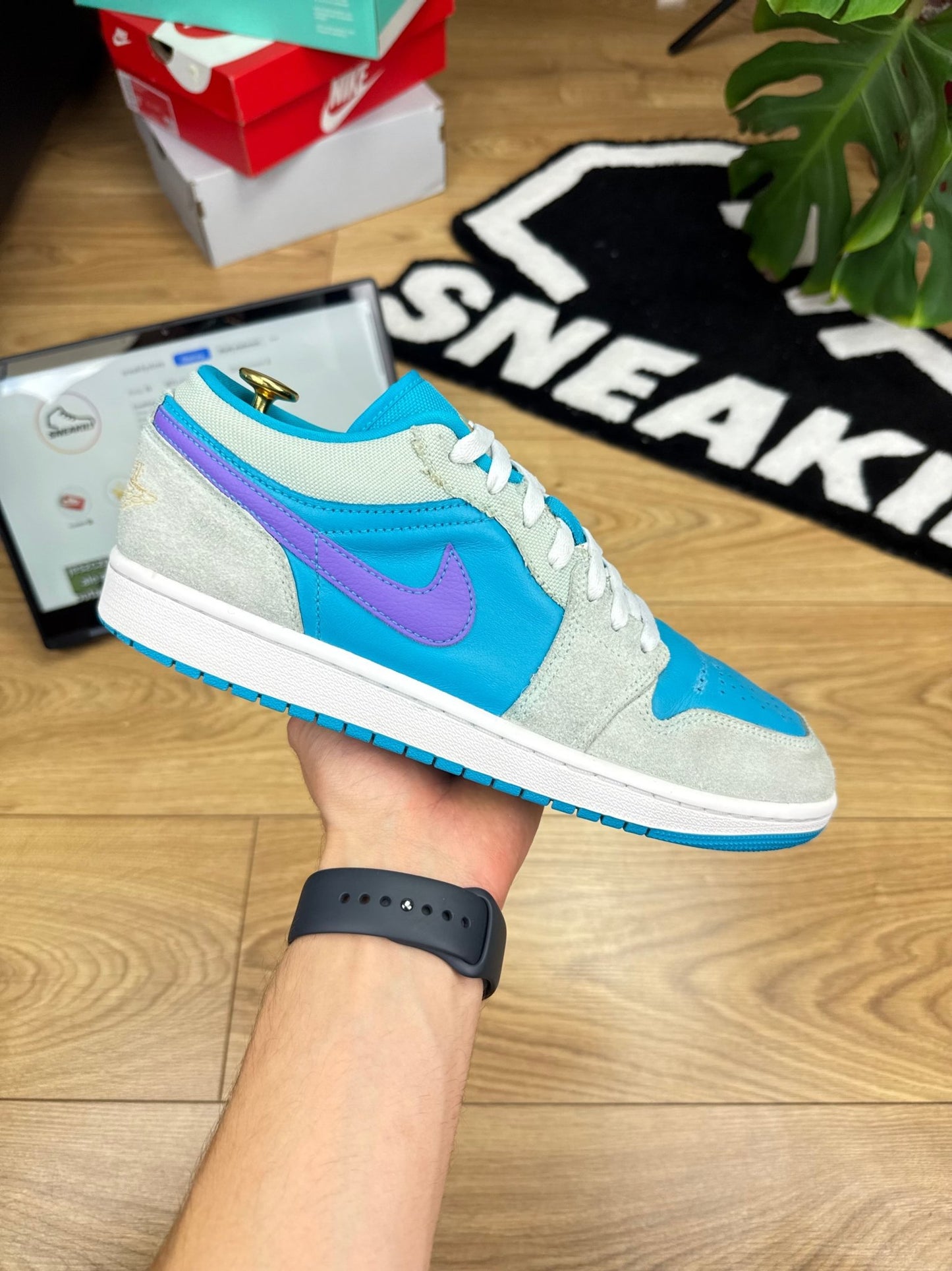Nike Air Jordan 1 Low (43)