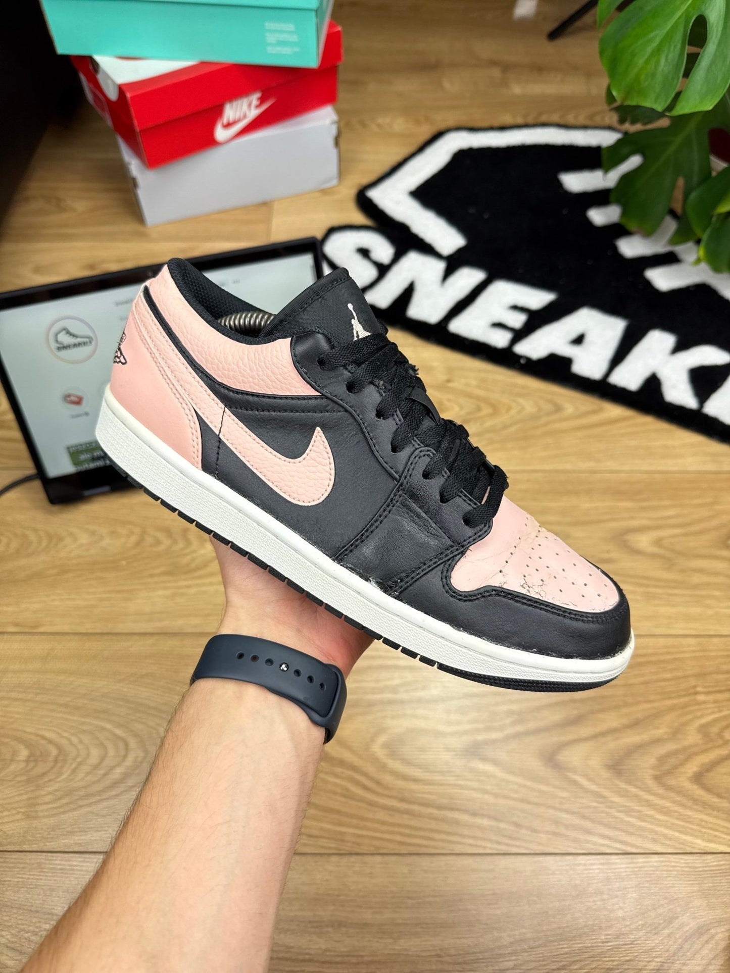 Nike Air Jordan 1 Low (44)