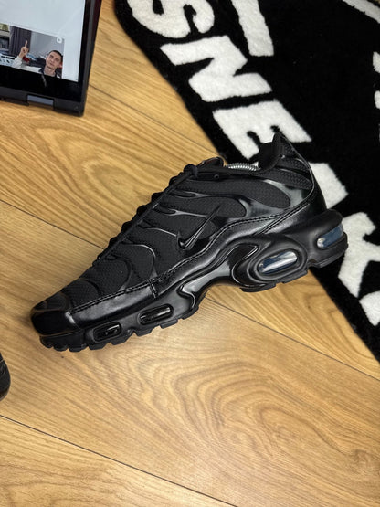 Nike Air Max Plus (44.5)
