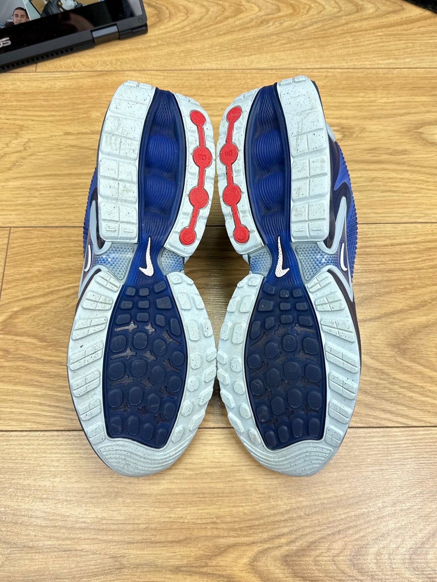 Nike Air Max DN (43)
