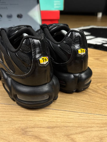 Nike Air Max Plus (44.5)