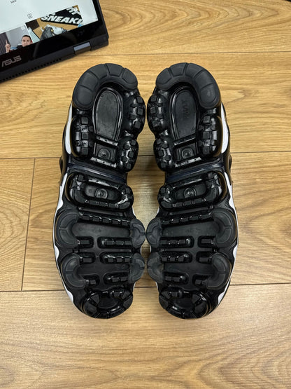 Nike Air Vapormax Plus (44)